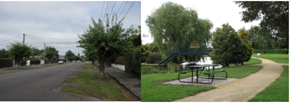 A park with a picnic table

Description automatically generated with low confidence