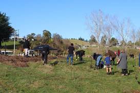 A group of people working in a field

Description automatically generated