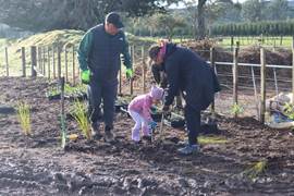 A group of people working in a garden

Description automatically generated