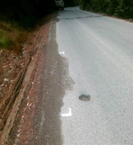 A road with a puddle of water on the side

Description automatically generated