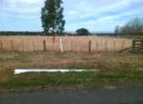 A field with a fence and trees

Description automatically generated