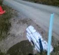 A road with white objects on the ground

Description automatically generated with medium confidence