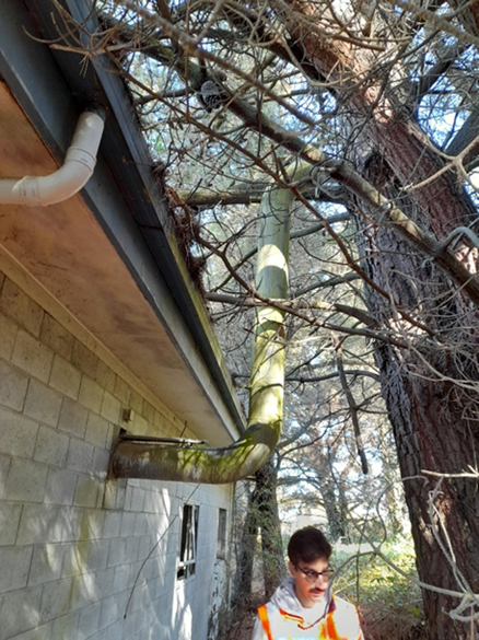 A person standing under a tree

Description automatically generated