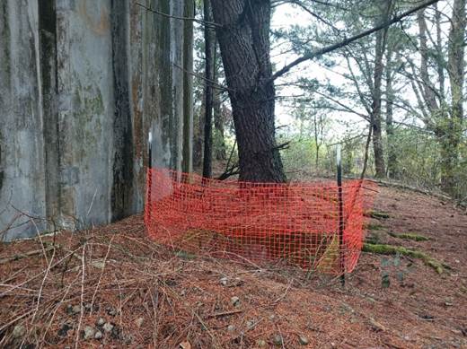 A red mesh around a tree

Description automatically generated