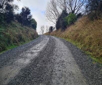 A road with trees and grass

Description automatically generated