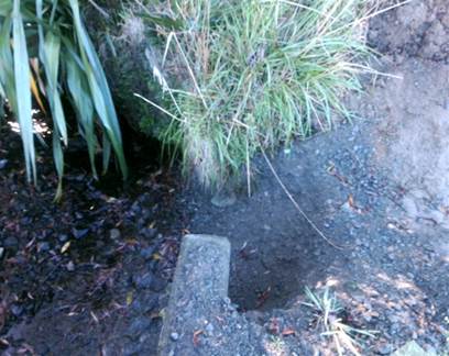 A hole in the ground with grass

Description automatically generated