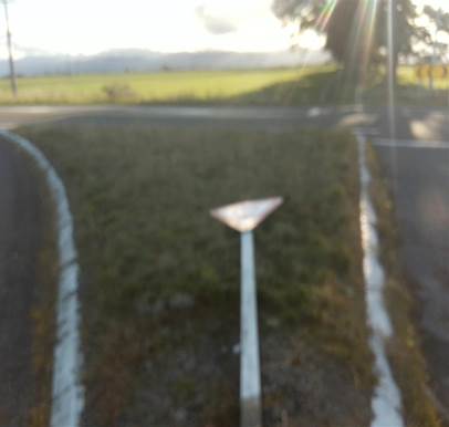 A metal pole in the grass

Description automatically generated