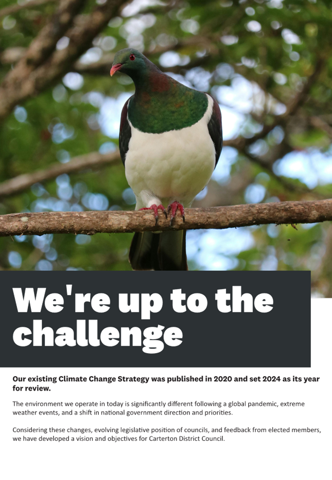 A bird on a branch

Description automatically generated