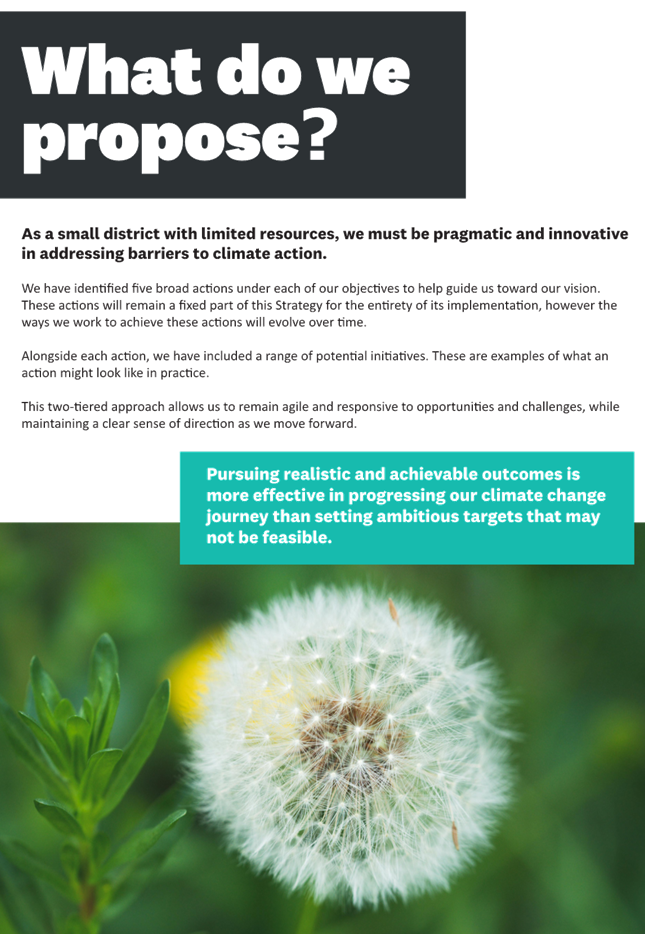A close-up of a plant

Description automatically generated
