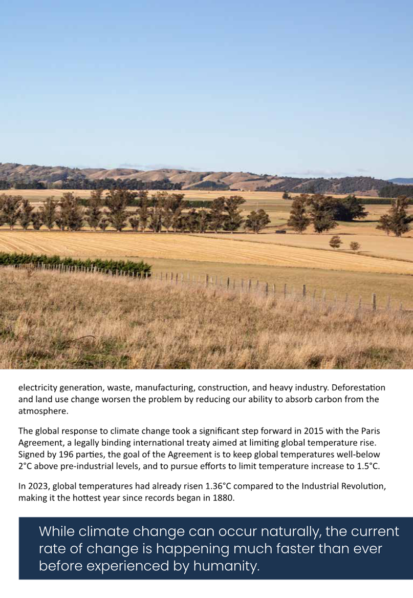 A field with trees in the background

AI-generated content may be incorrect.