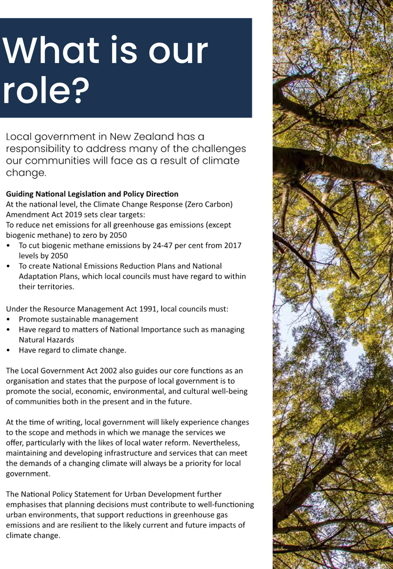 A close-up of a leaflet

AI-generated content may be incorrect.