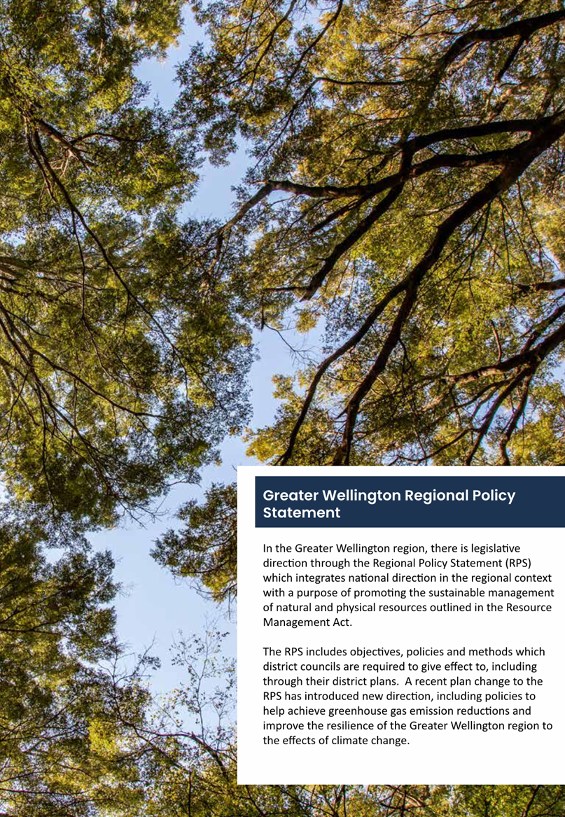 A tree with text below

AI-generated content may be incorrect.