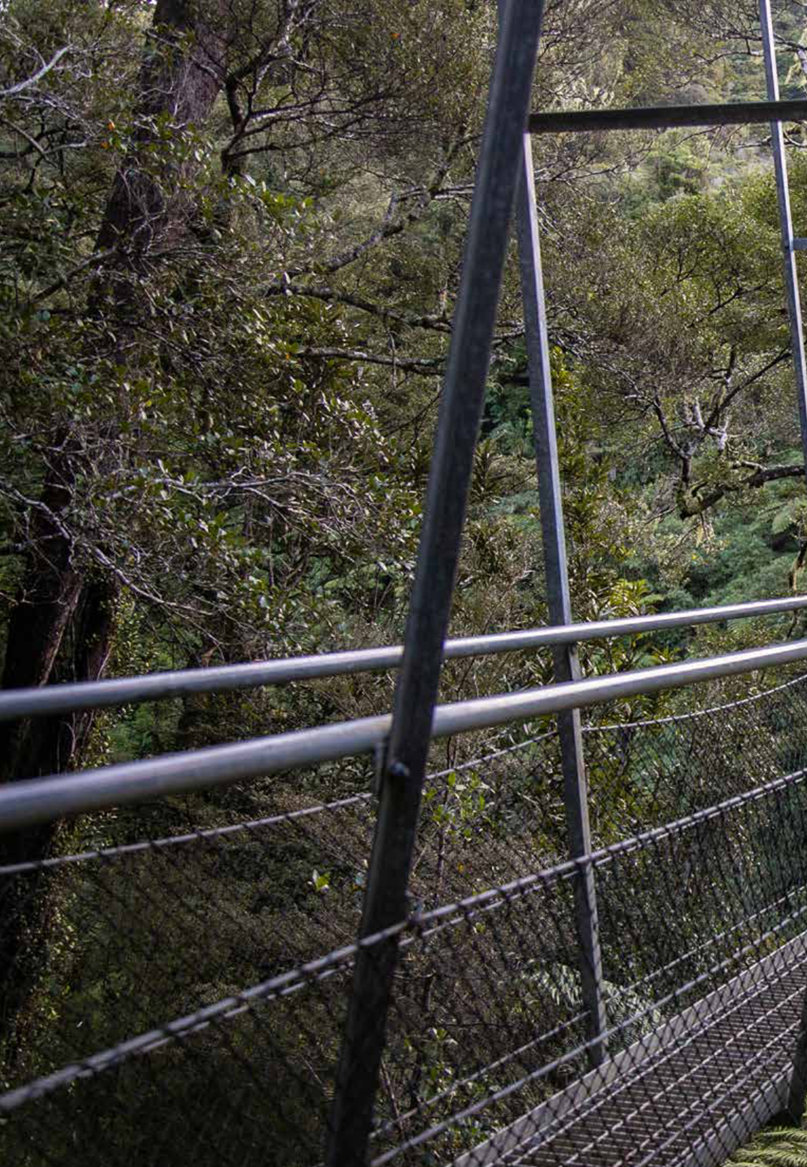 A bridge with a fence and trees

AI-generated content may be incorrect.