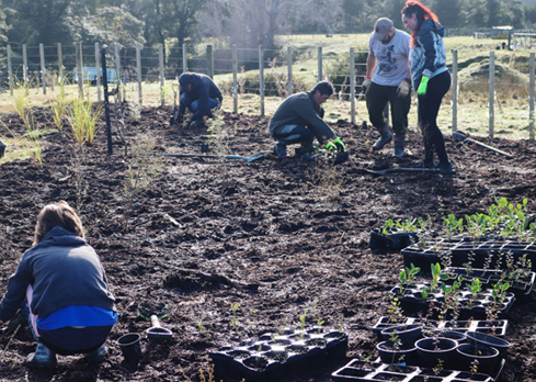 A group of people working in a garden

AI-generated content may be incorrect.