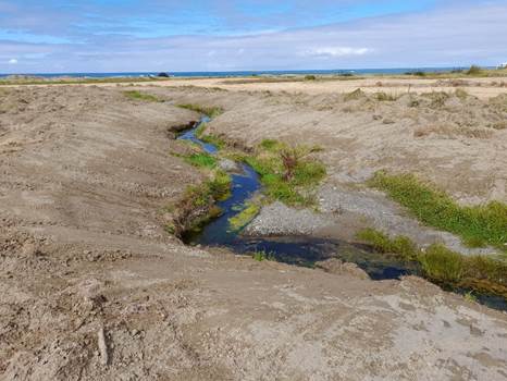 A stream in a dry field

AI-generated content may be incorrect.