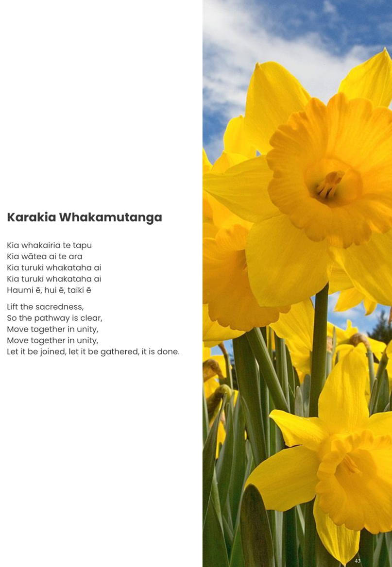 Close-up of a yellow daffodil

AI-generated content may be incorrect.