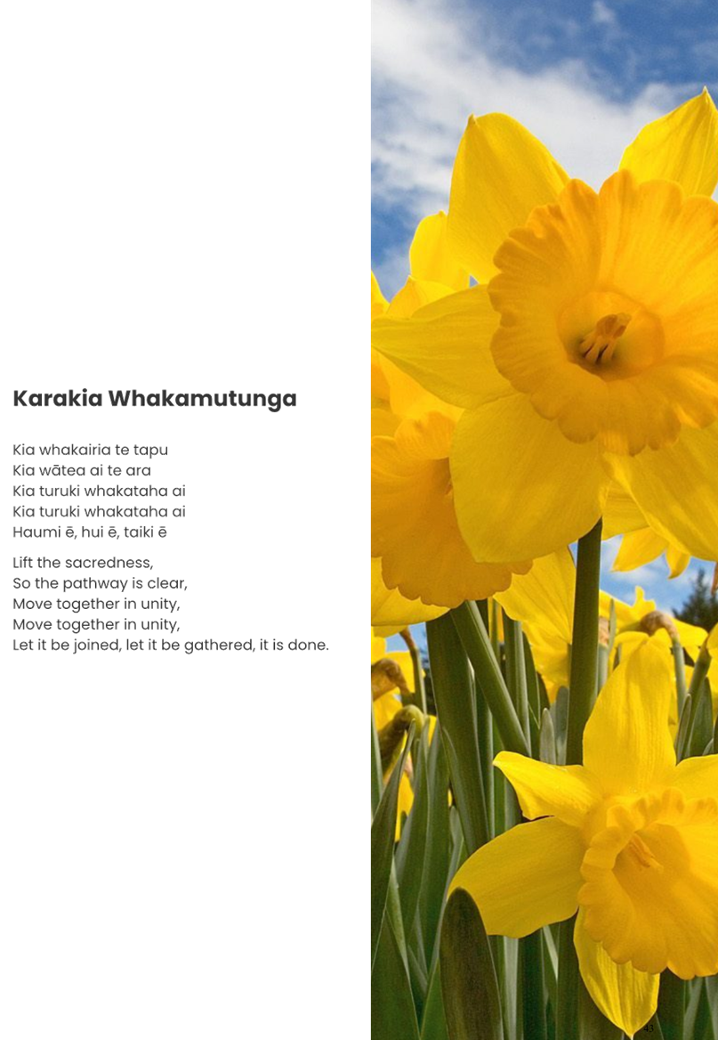 Close-up of a yellow daffodil

AI-generated content may be incorrect.
