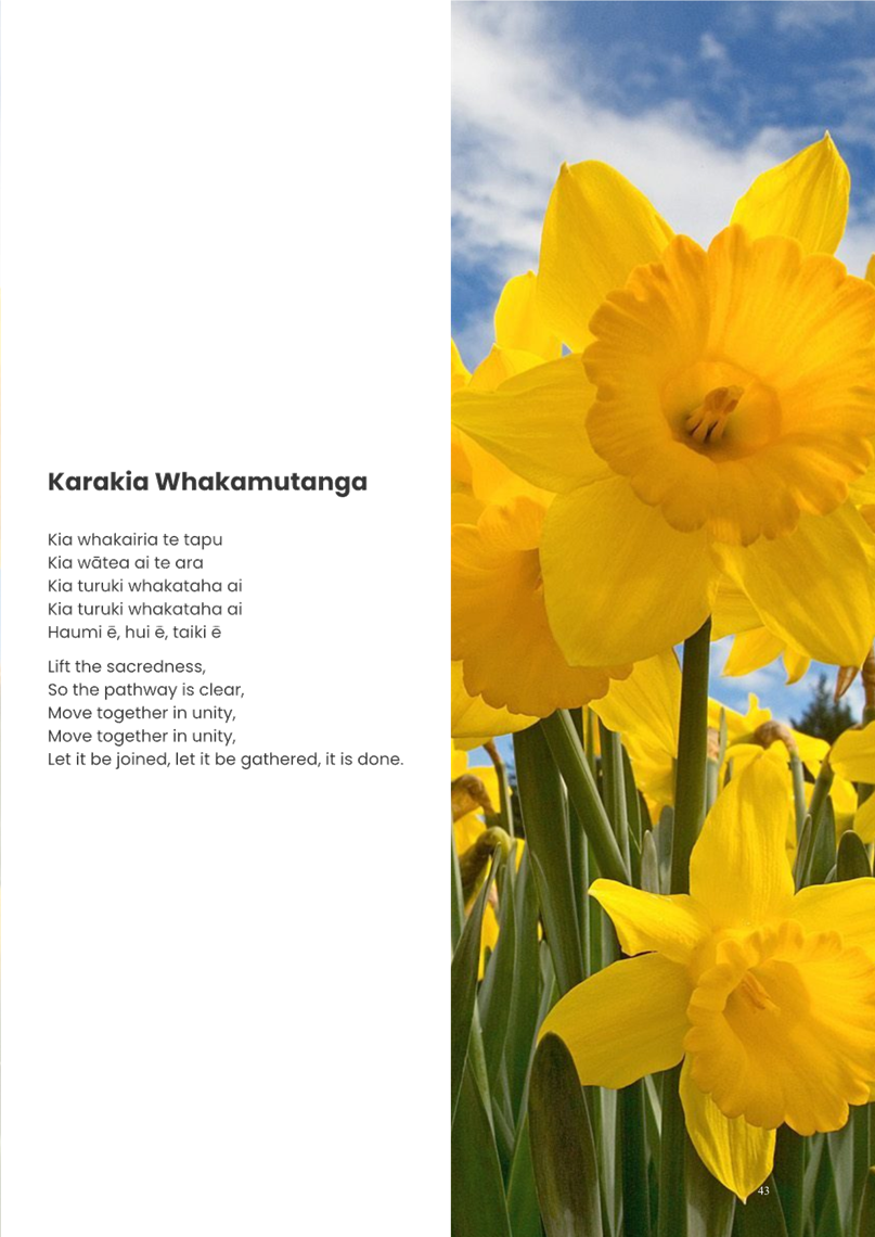 Close-up of a yellow daffodil

AI-generated content may be incorrect.